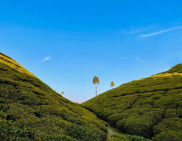 Darjeeling